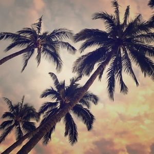 Ask about my Secret Sales!